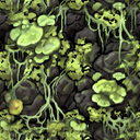 p49moss.mat p49moss